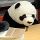 순형