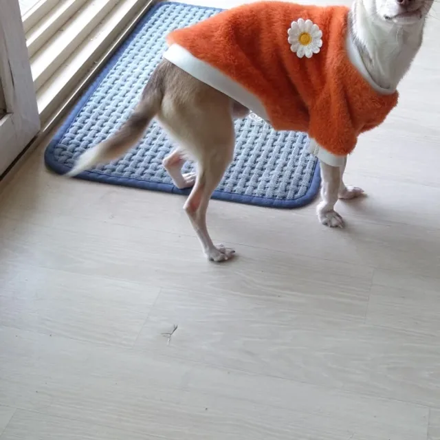 다시시작