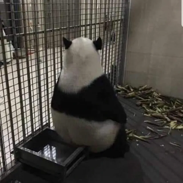 뚠뚠