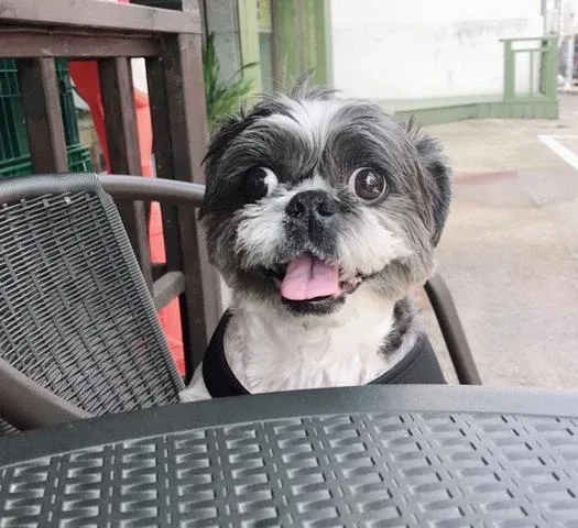 당근좋아