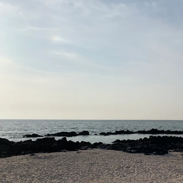 여름16
