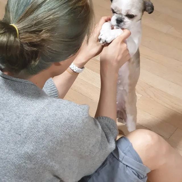 우리가족은햄볶는중