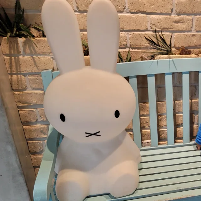 꿈비랍