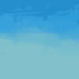 뚠뚠개미