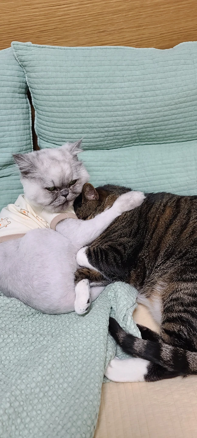 두더지