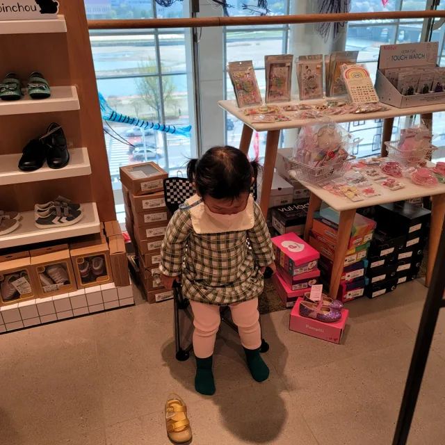 고지지