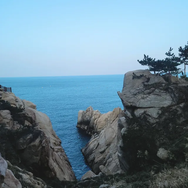 소이아빠