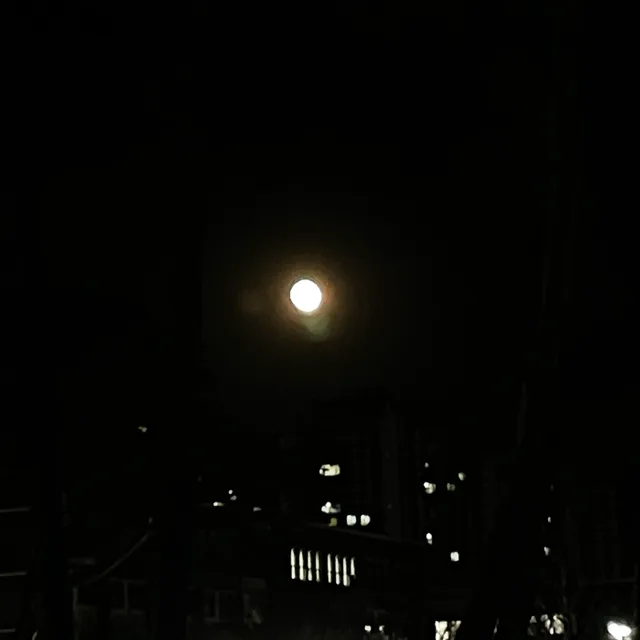 훈훈