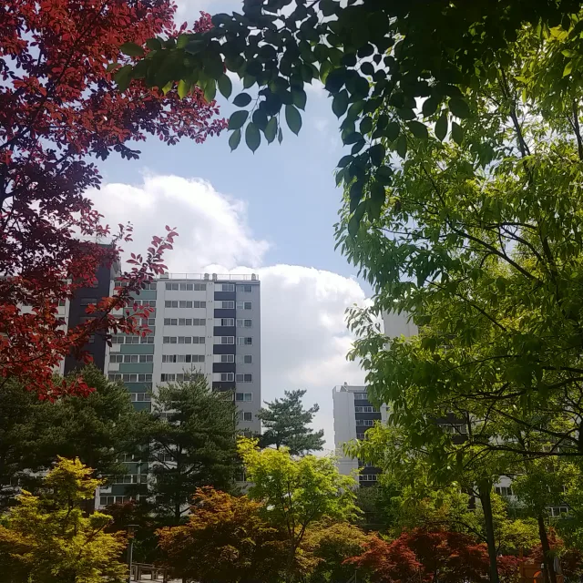 강강