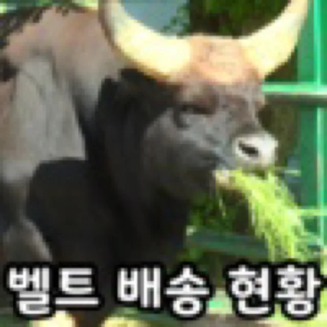 성냥아빠