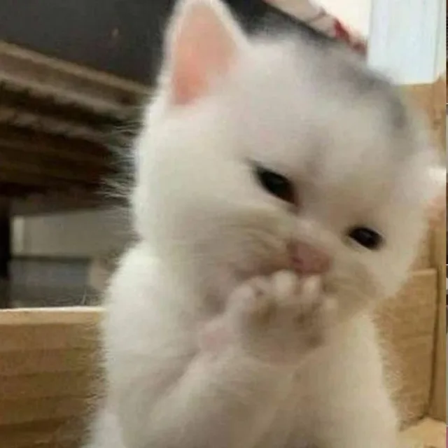 hiho