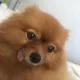 JBSun