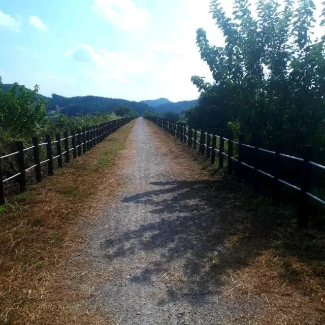 FOTUNA