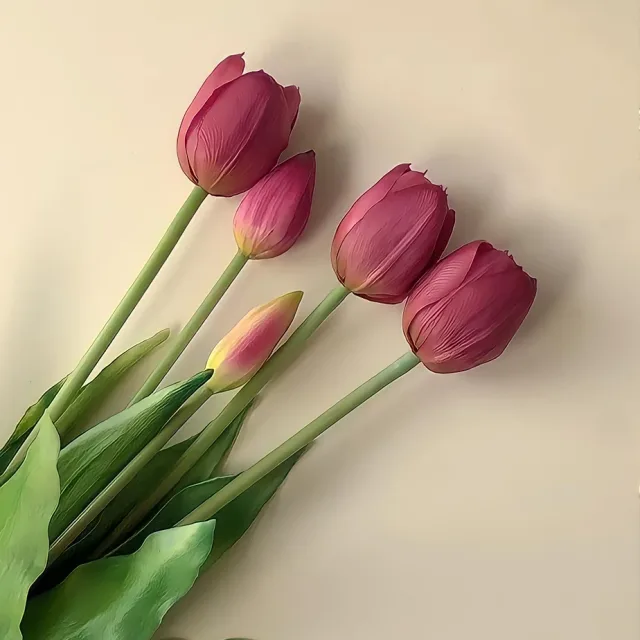 디아