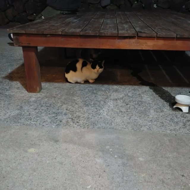 풍갱