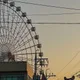 대장