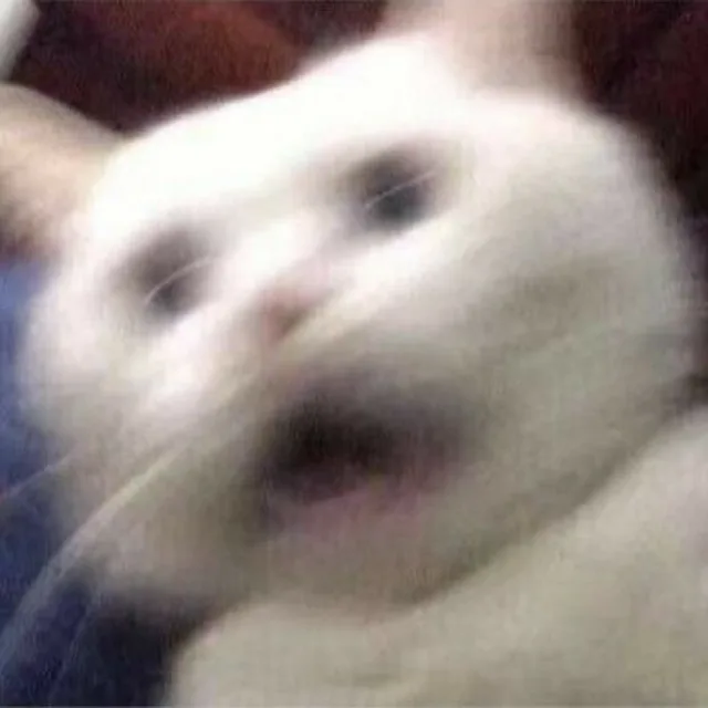 안녕하세요