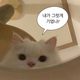 우주