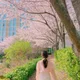 여니꽃