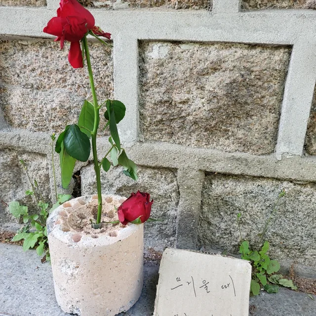쵸코맘