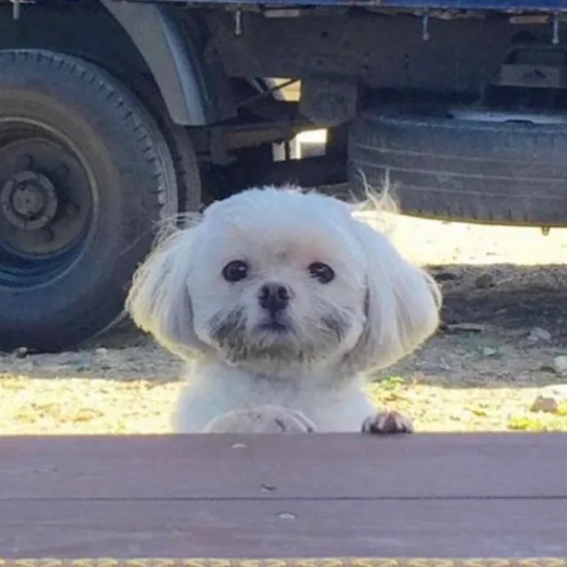 노력어멈