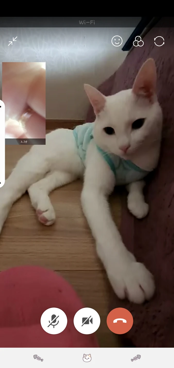 쏘방이