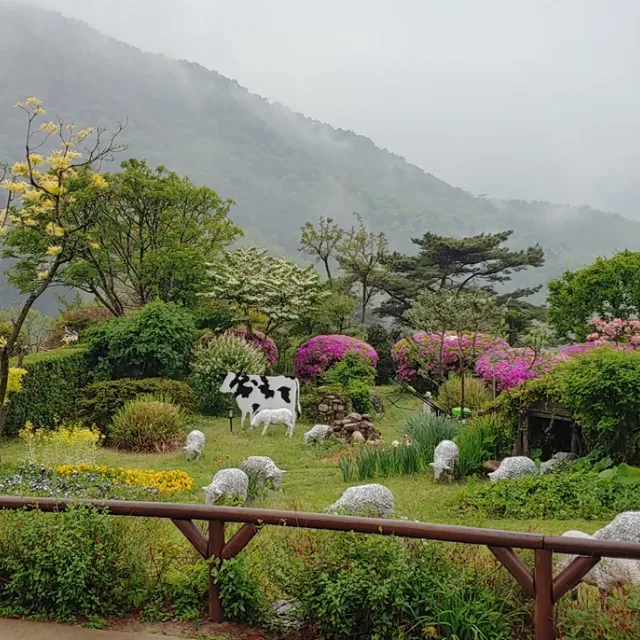 소나기261