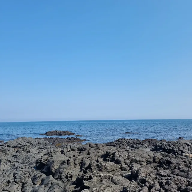 메리메리