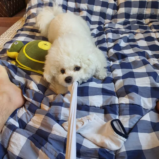 캬캬캬