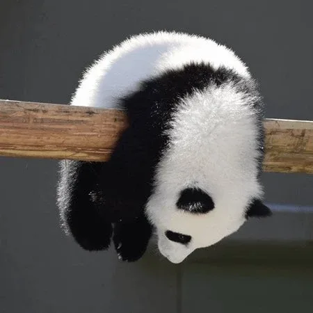 주렁주렁
