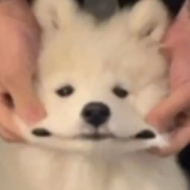 밍밍밍
