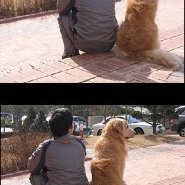 쿠마
