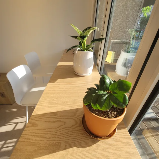 profile