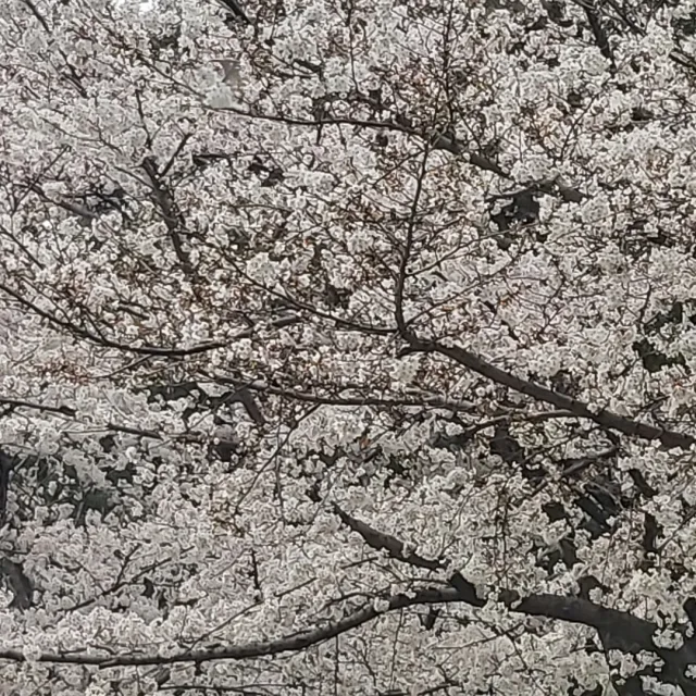 겨울바다