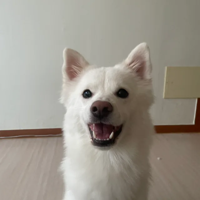 둥이맘