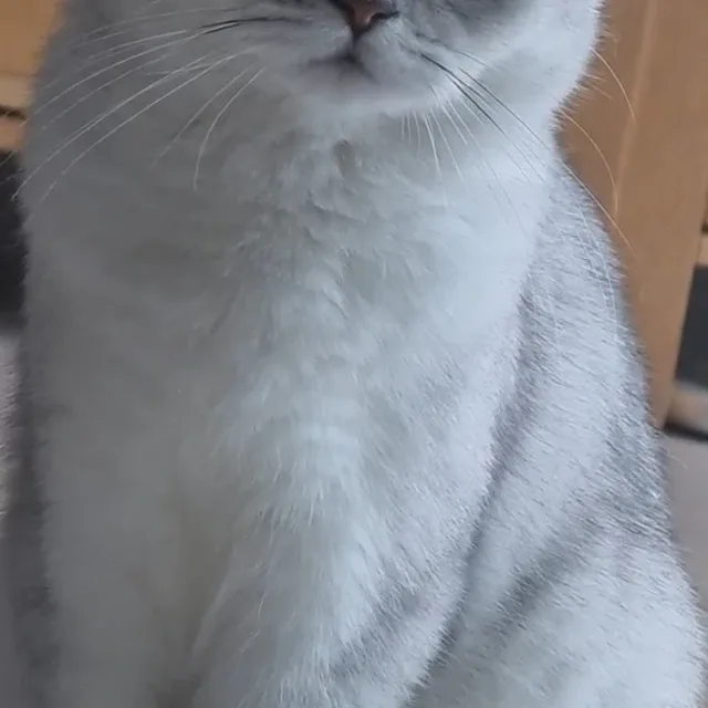 미남아빠
