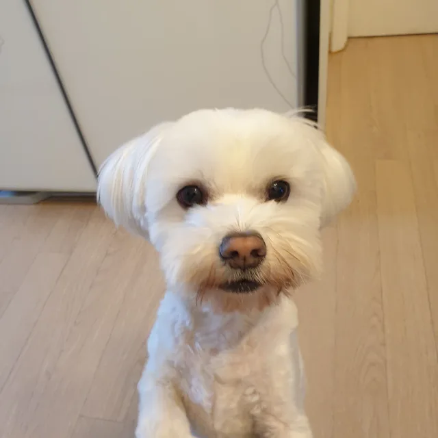 잠잠히