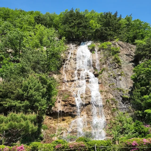 꽘찍잉