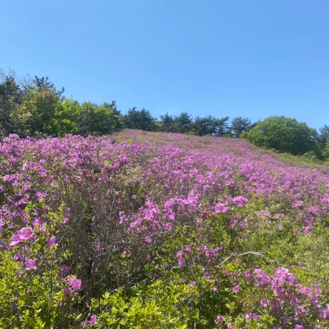 흠흠흠