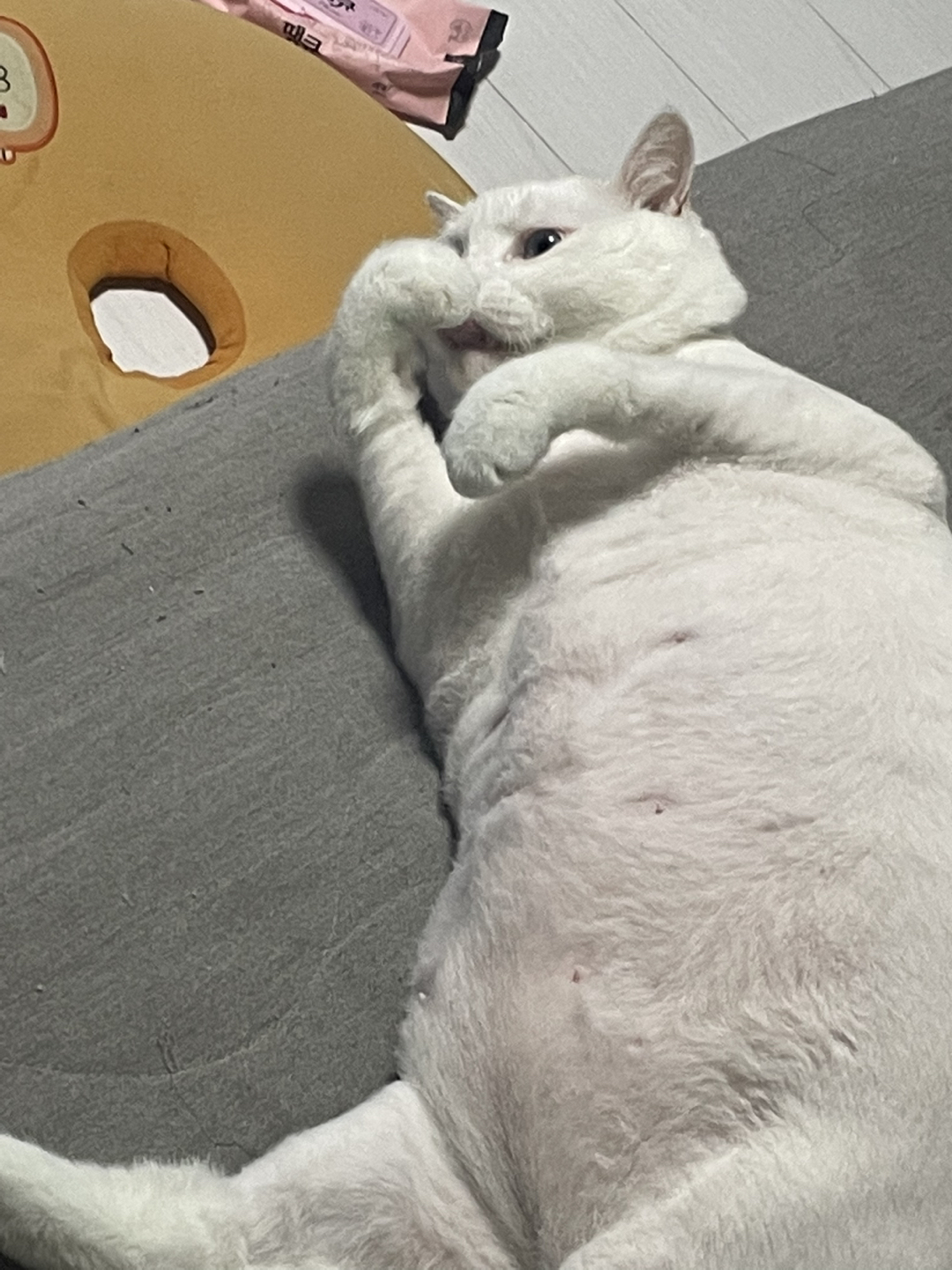 해나