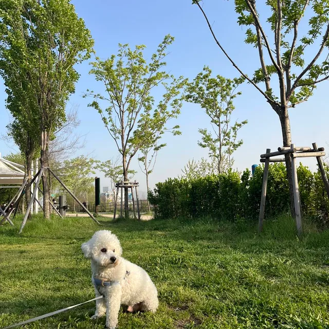 바망