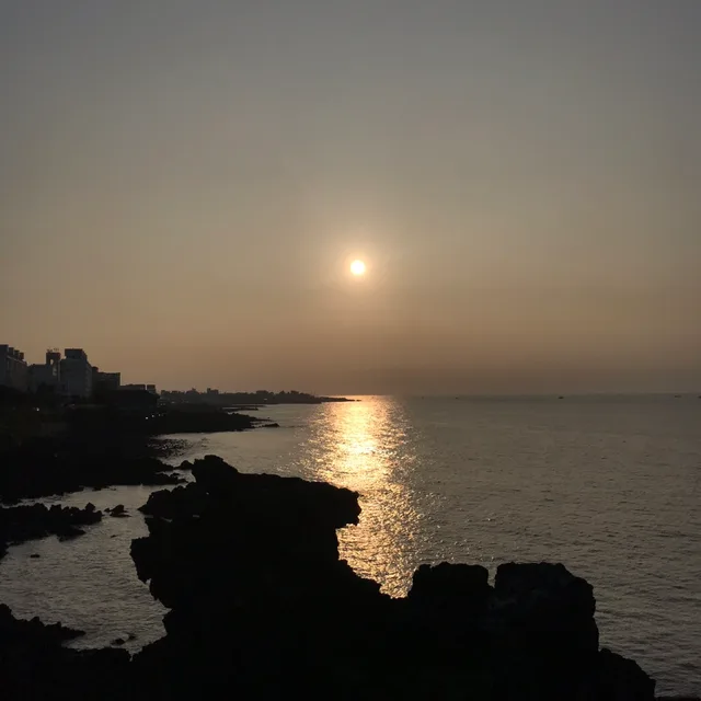 김김