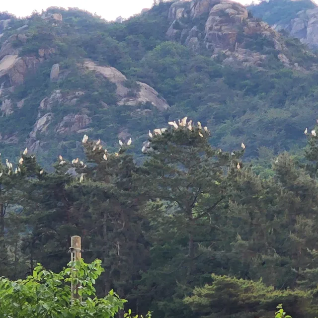 하늘주황