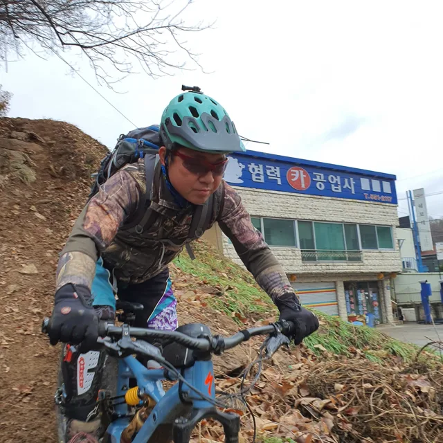 산돼지