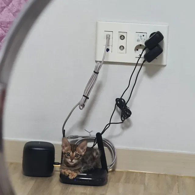 peppr