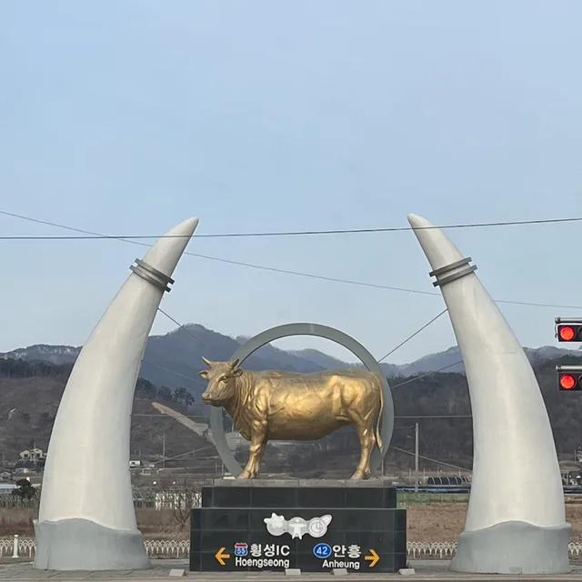 신나무실룰루랄라라