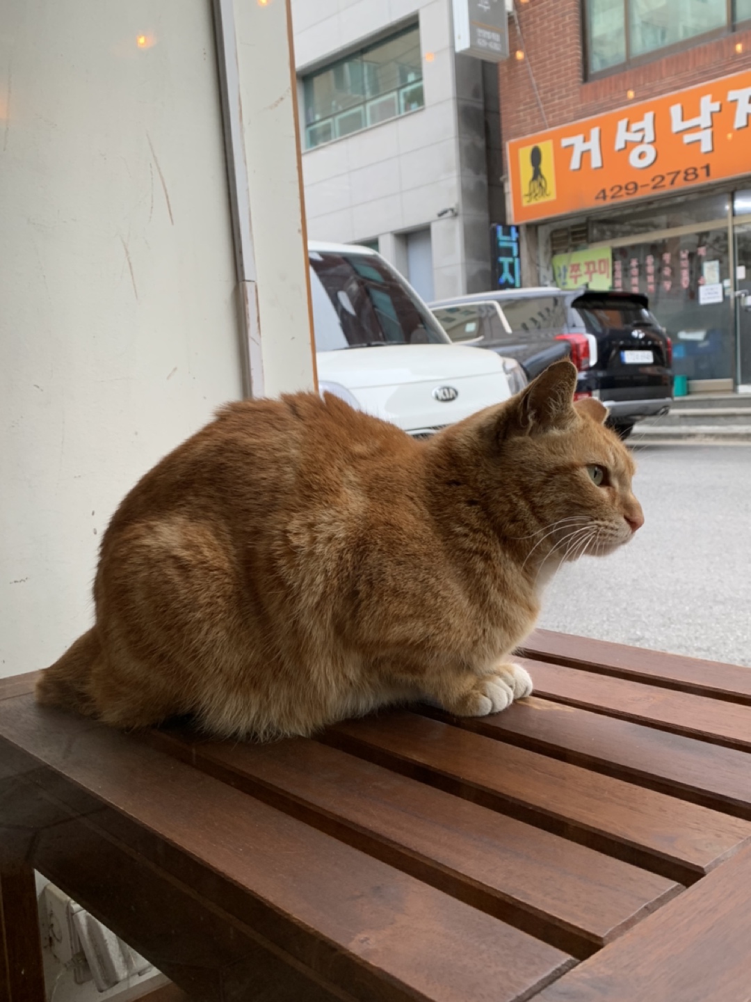 조이