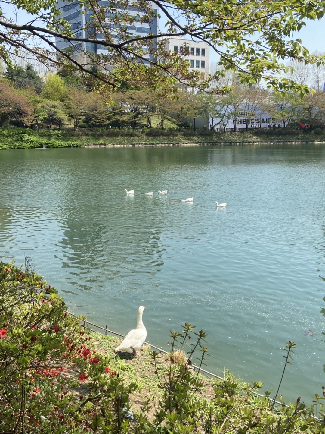 선유도역근처