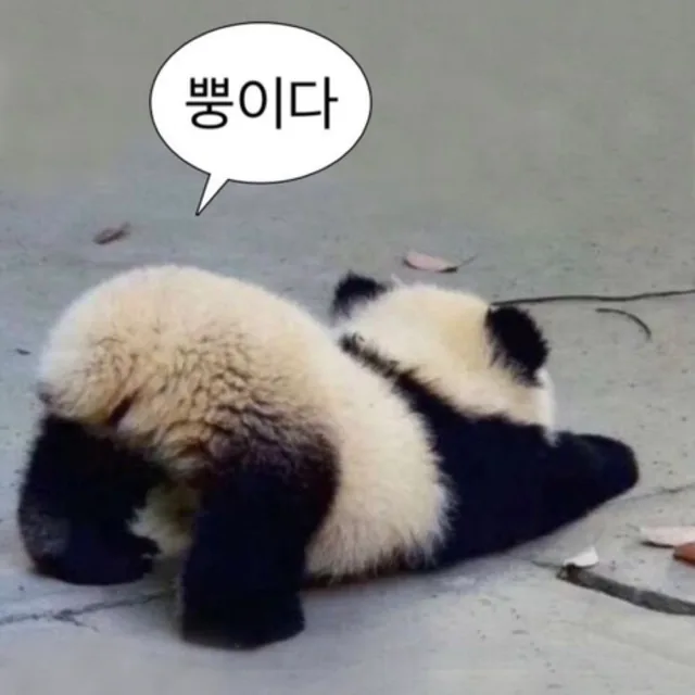 라복희