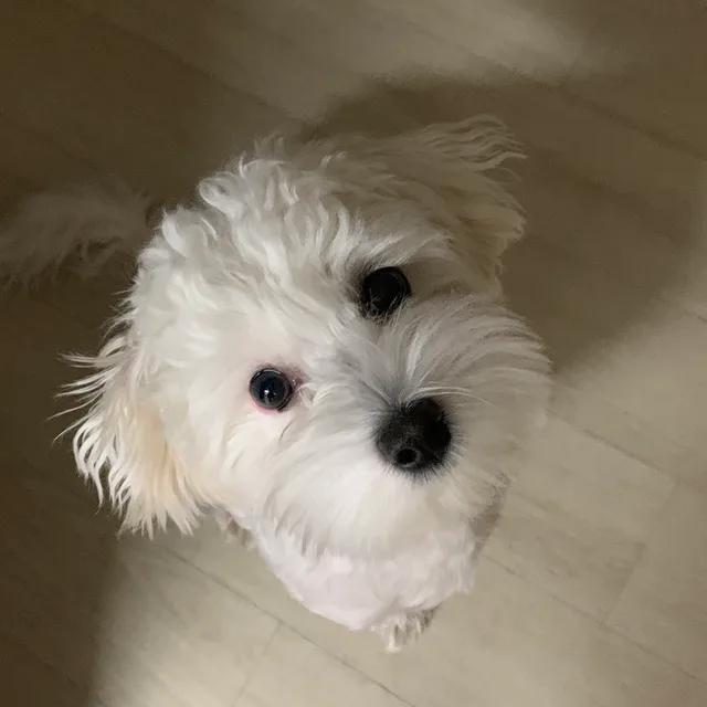 슬기